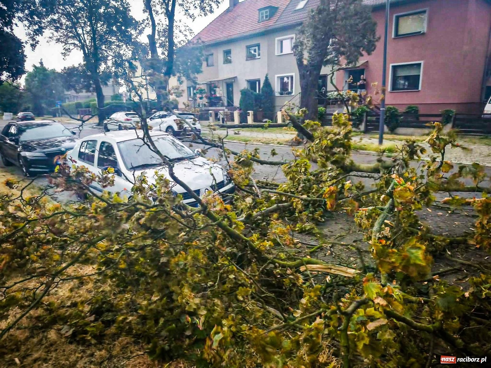 Zdjęcie w galerii na portalu naszraciborz.pl: Nawałnica nad powiatem raciborskim. Strażacy interweniowali już 20 razy wiadomości z regionu