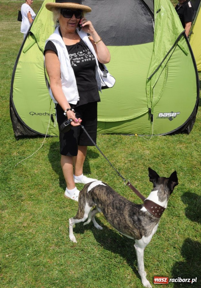 Zdjęcie w galerii na portalu naszraciborz.pl: Na Ostrogu trwa wystawa psów rasowych wiadomości z regionu