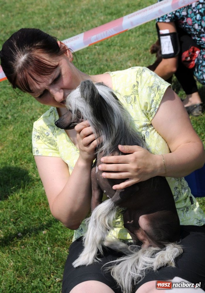 Zdjęcie w galerii na portalu naszraciborz.pl: Na Ostrogu trwa wystawa psów rasowych wiadomości z regionu