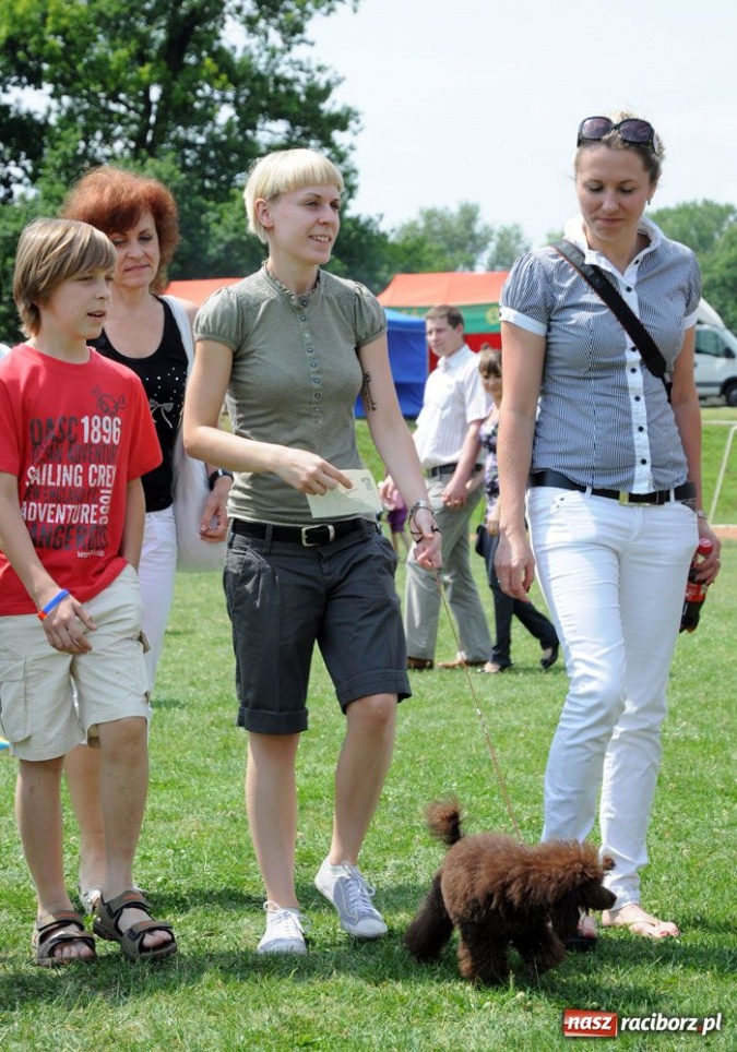 Zdjęcie w galerii na portalu naszraciborz.pl: Na Ostrogu trwa wystawa psów rasowych wiadomości z regionu