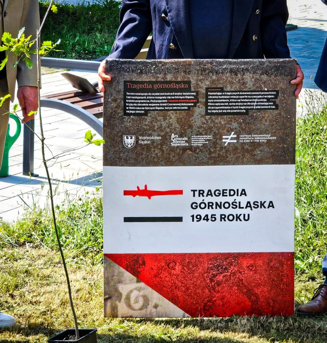Zdjęcie w galerii na portalu naszraciborz.pl: Dąb Pokoju posadzony w Raciborzu. Symbol pamięci o ofiarach Tragedii Górnośląskiej wiadomości z regionu