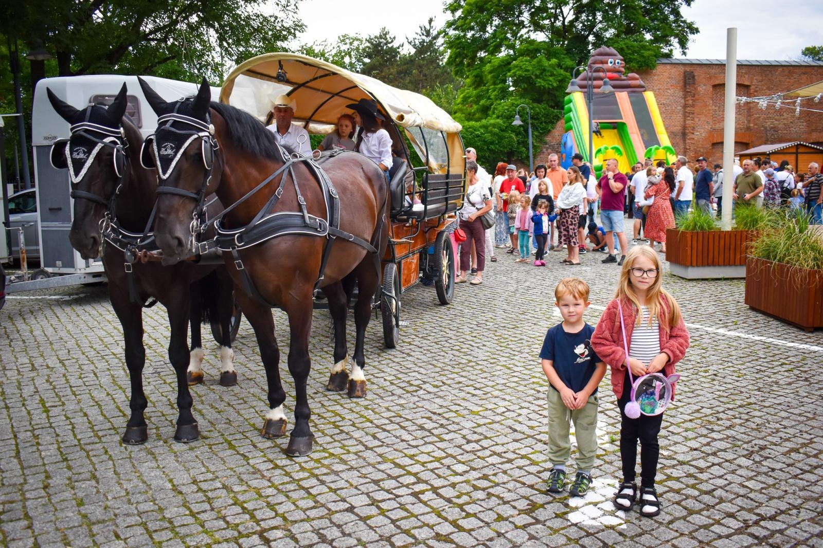 Zdjęcie w galerii na portalu naszraciborz.pl: Setki osób na inauguracji Wakacji w Powiecie. Rodzinny piknik na zamku przyciągnął mieszkańców wiadomości z regionu
