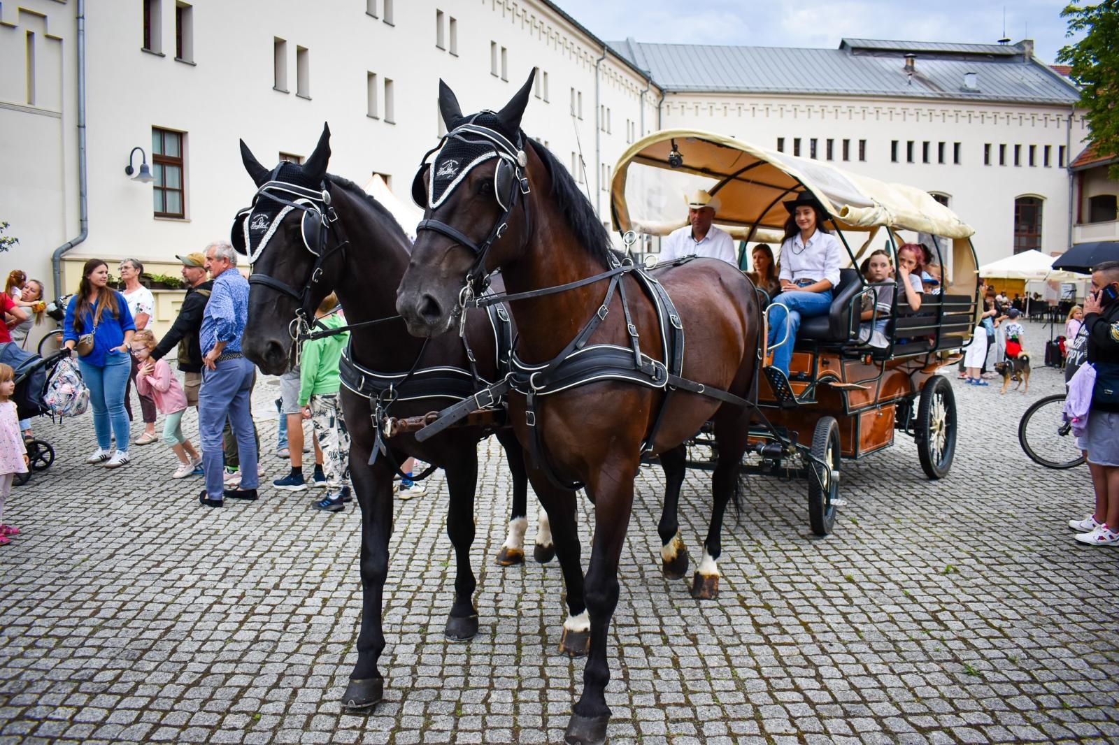 Zdjęcie w galerii na portalu naszraciborz.pl: Setki osób na inauguracji Wakacji w Powiecie. Rodzinny piknik na zamku przyciągnął mieszkańców wiadomości z regionu