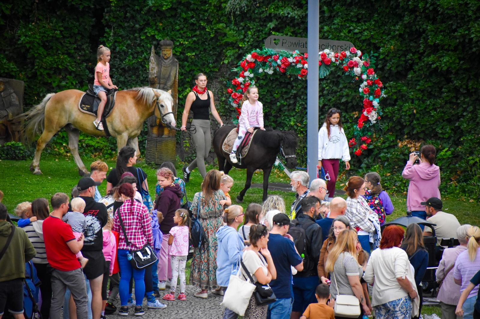 Zdjęcie w galerii na portalu naszraciborz.pl: Setki osób na inauguracji Wakacji w Powiecie. Rodzinny piknik na zamku przyciągnął mieszkańców wiadomości z regionu