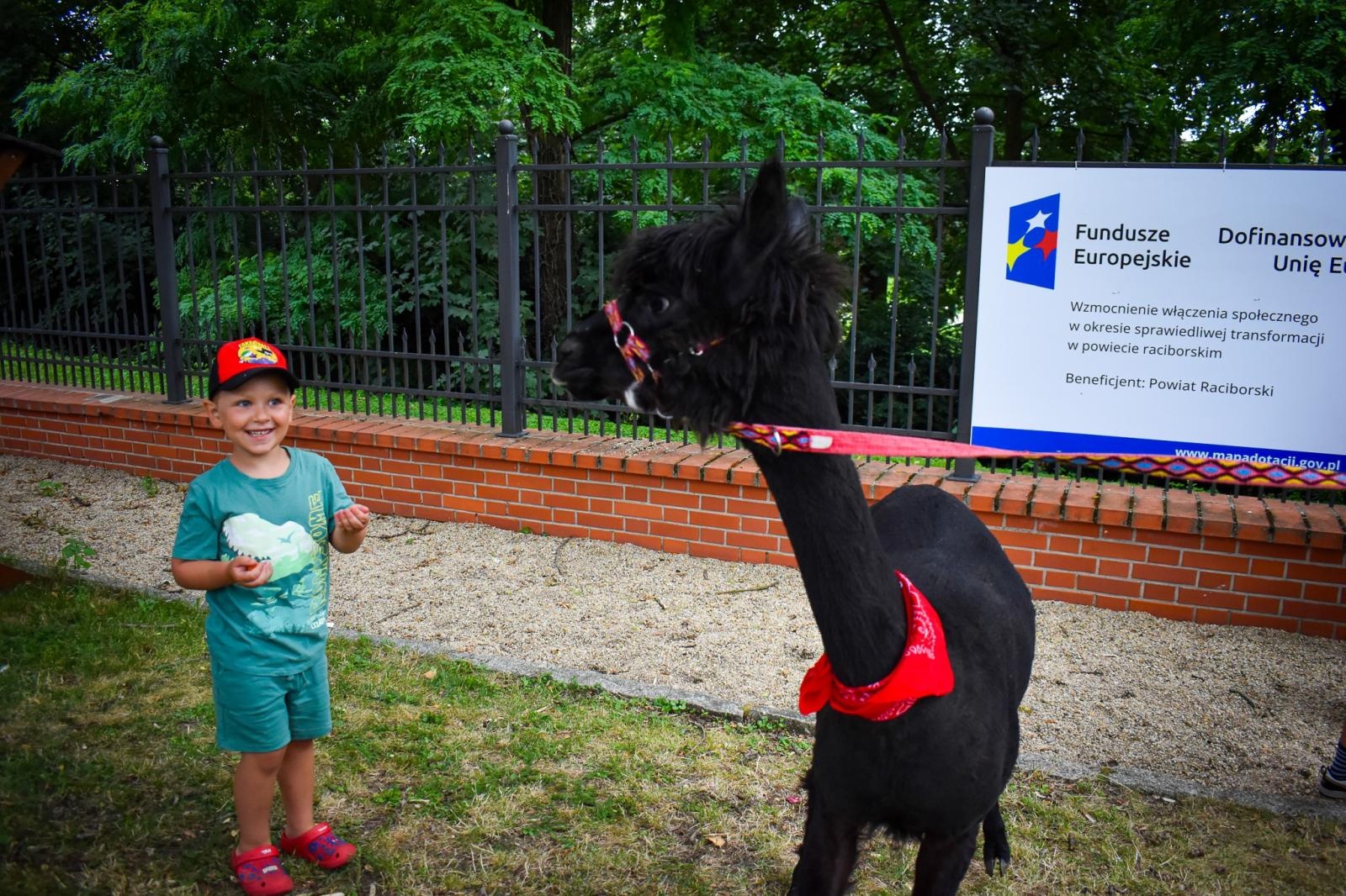 Zdjęcie w galerii na portalu naszraciborz.pl: Setki osób na inauguracji Wakacji w Powiecie. Rodzinny piknik na zamku przyciągnął mieszkańców wiadomości z regionu