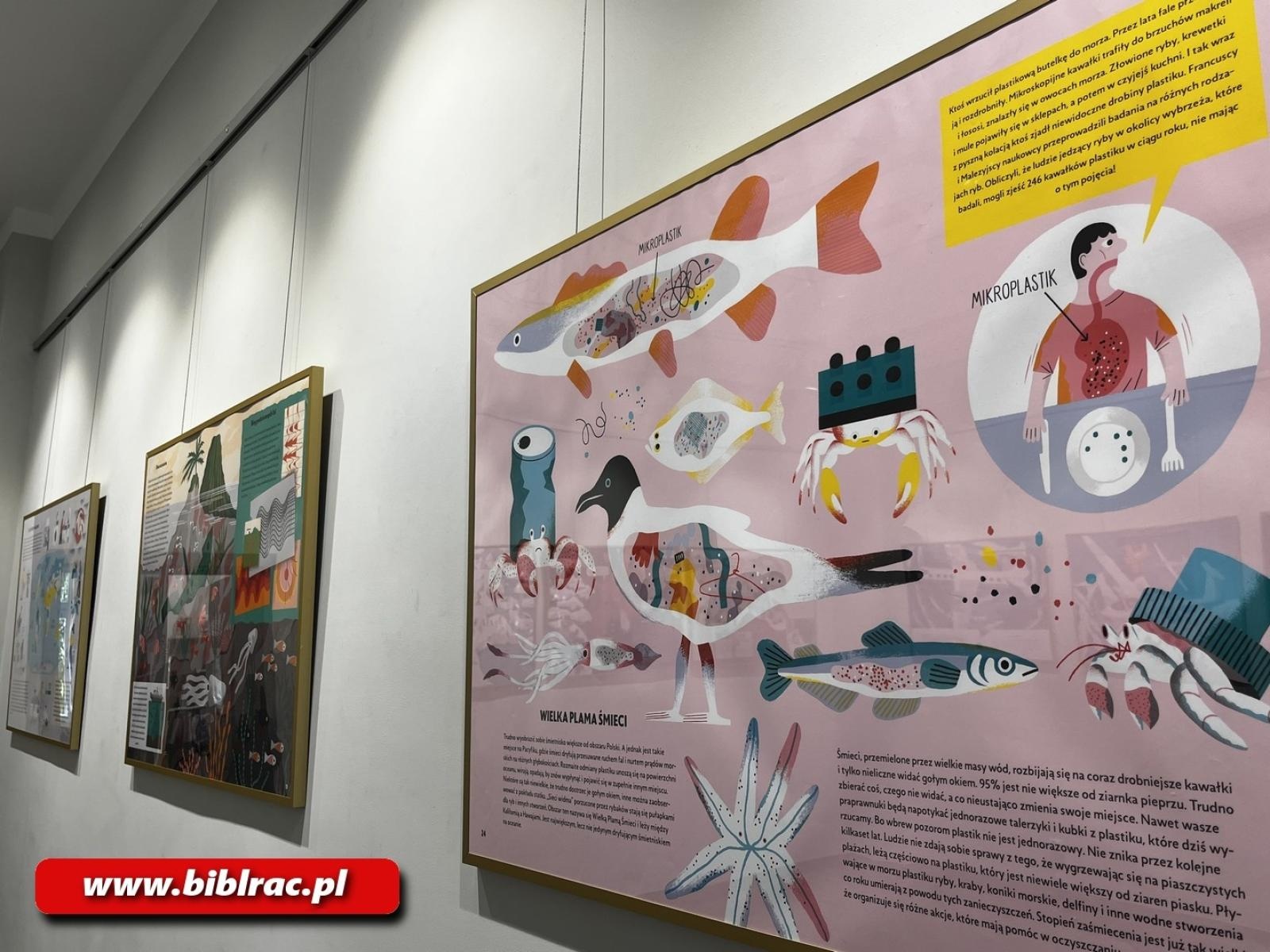 Zdjęcie w galerii na portalu naszraciborz.pl: Żywioły w raciborskiej bibliotece wiadomości z regionu