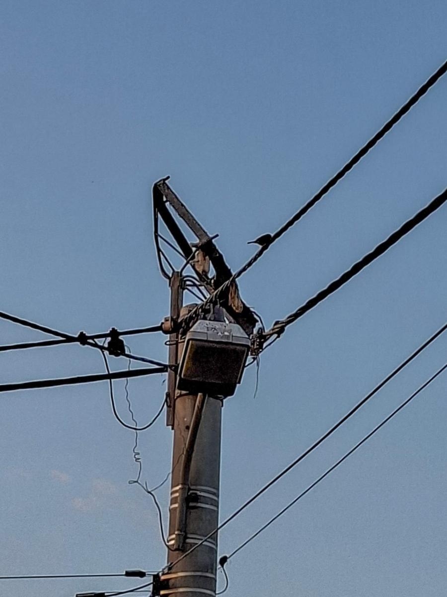 Zdjęcie w galerii na portalu naszraciborz.pl: Nawałnice zagrożeniem nie tylko dla ludzi. Ucierpiały także bociany w Miedoni wiadomości z regionu