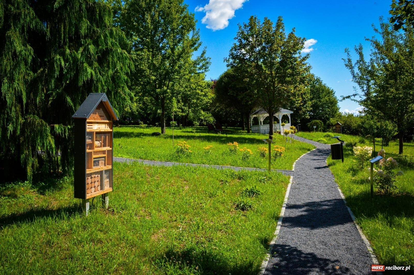 Zdjęcie w galerii na portalu naszraciborz.pl: Wakacyjne wędrówki z WFOŚiGW Katowice. Królestwo roślin niedaleko Raciborza wiadomości z regionu