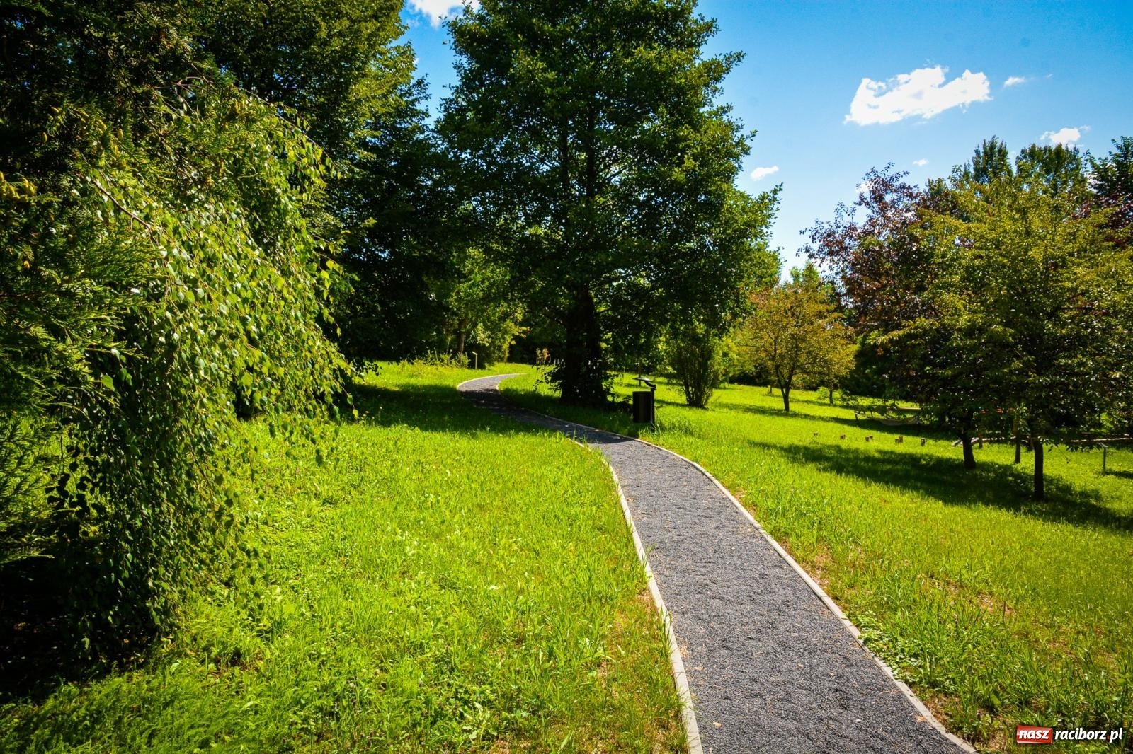 Zdjęcie w galerii na portalu naszraciborz.pl: Wakacyjne wędrówki z WFOŚiGW Katowice. Królestwo roślin niedaleko Raciborza wiadomości z regionu