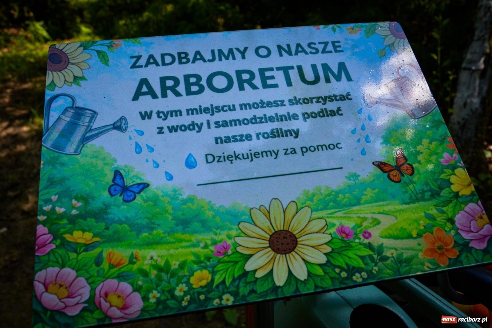 Zdjęcie w galerii na portalu naszraciborz.pl: Wakacyjne wędrówki z WFOŚiGW Katowice. Królestwo roślin niedaleko Raciborza wiadomości z regionu