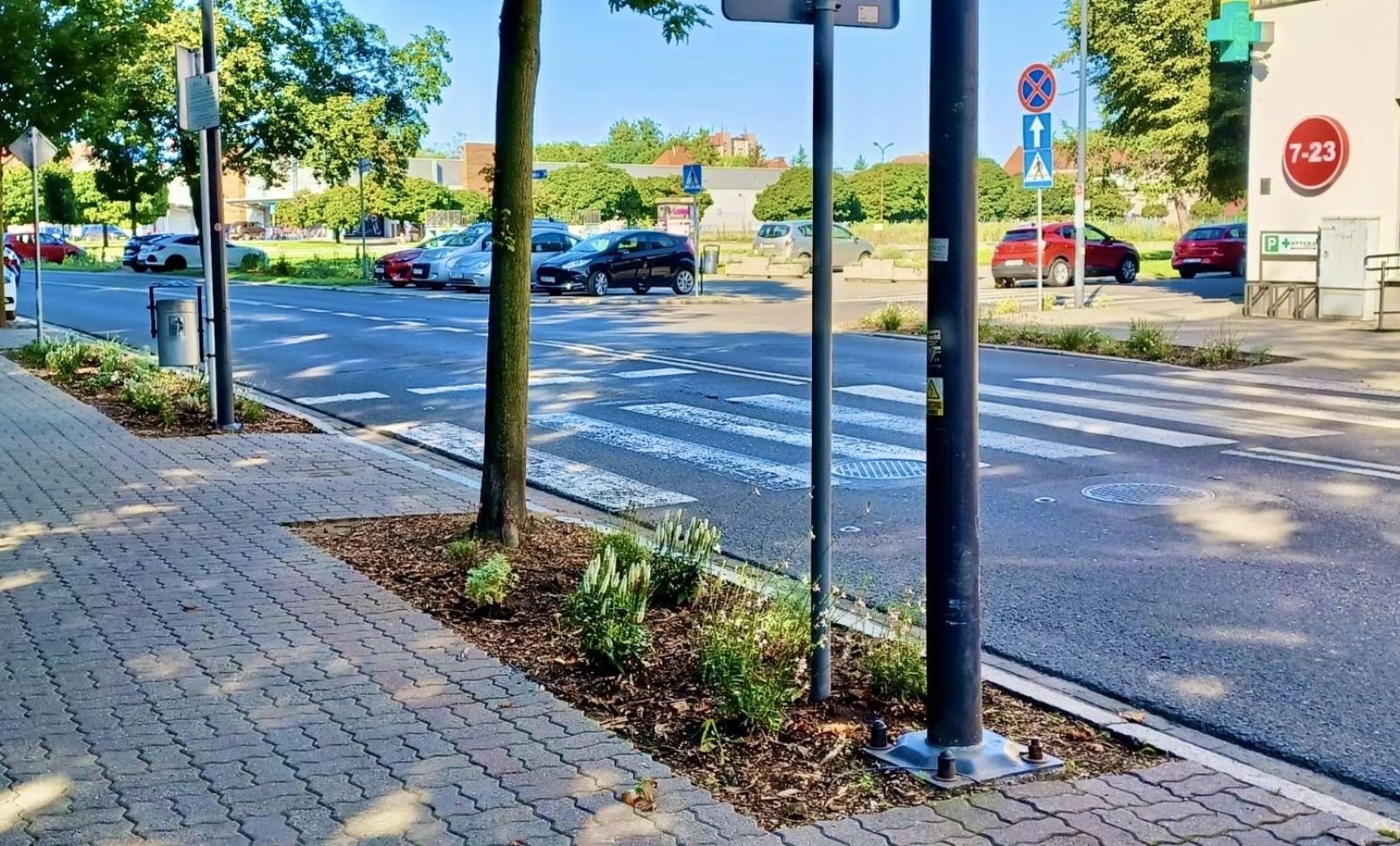 Zdjęcie w galerii na portalu naszraciborz.pl: Zielona zmiana w Raciborzu. Nowe rabaty i mniej betonu wiadomości z regionu