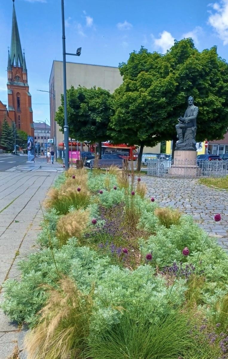 Zdjęcie w galerii na portalu naszraciborz.pl: Zielona zmiana w Raciborzu. Nowe rabaty i mniej betonu wiadomości z regionu