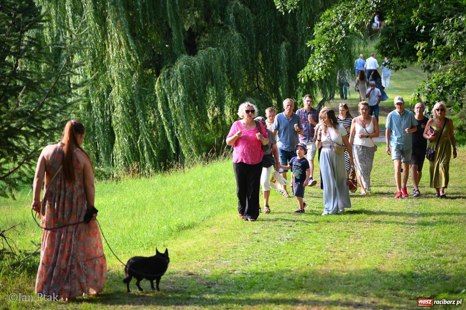 Zdjęcie w galerii na portalu naszraciborz.pl: Krowiarki przeżyły oblężenie. Włoska odsłona Fanny Days ściągnęła tysiące ludzi [FOTO i WIDEO] wiadomości z regionu