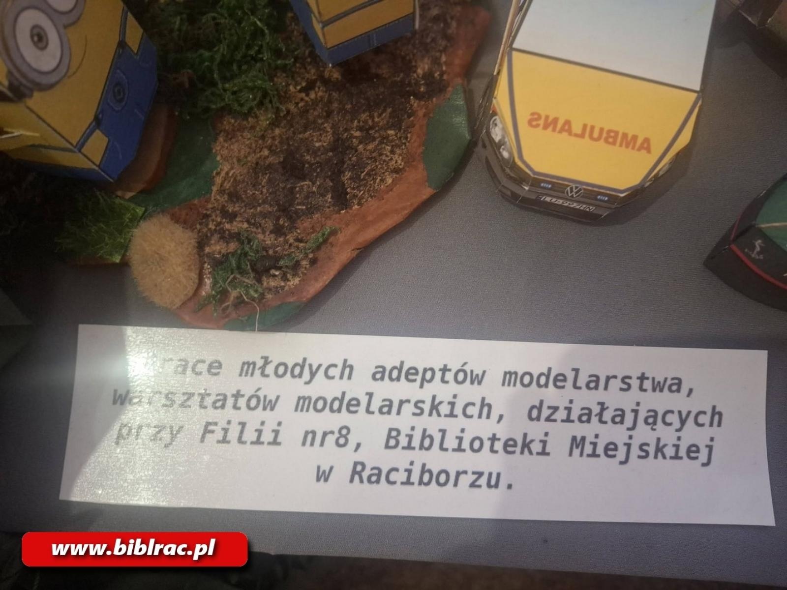 Zdjęcie w galerii na portalu naszraciborz.pl: Raciborski akcent na IX Wystawie Modelarskiej w Ustroniu wiadomości z regionu