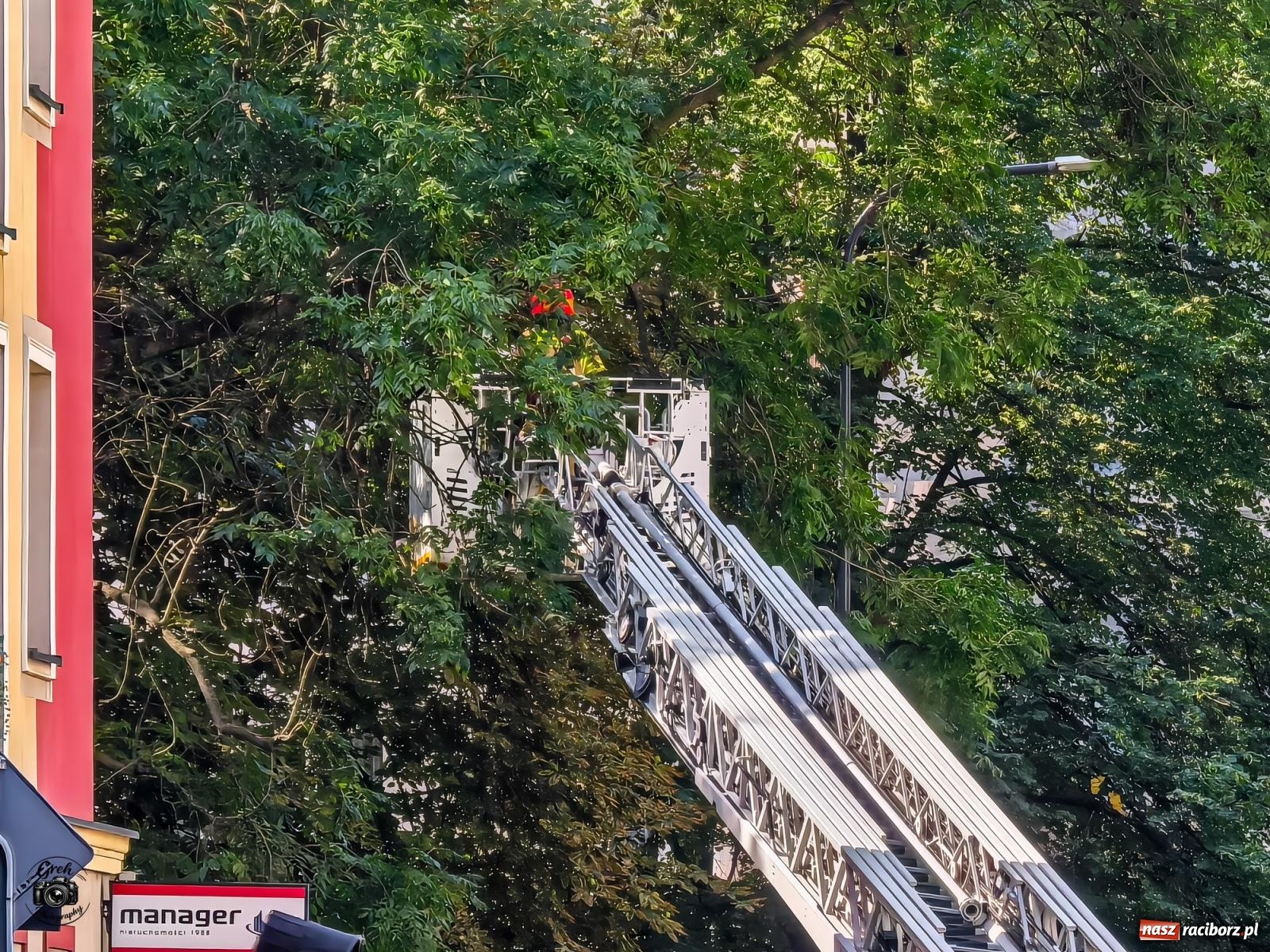 Zdjęcie w galerii na portalu naszraciborz.pl: Pożar altanki działkowej w Kuźni Raciborskiej. Strażacy interweniowali sześć razy wiadomości z regionu