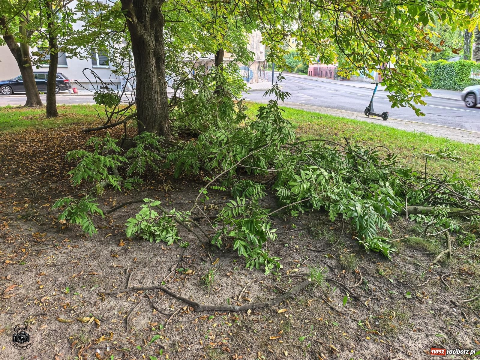 Zdjęcie w galerii na portalu naszraciborz.pl: Pożar altanki działkowej w Kuźni Raciborskiej. Strażacy interweniowali sześć razy wiadomości z regionu