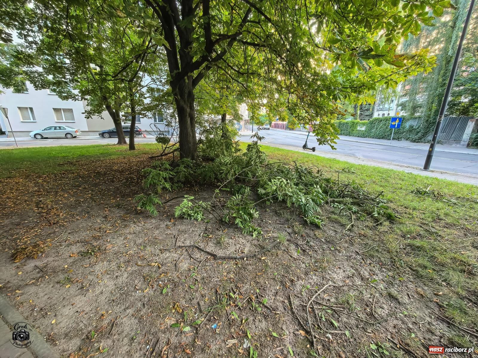 Zdjęcie w galerii na portalu naszraciborz.pl: Pożar altanki działkowej w Kuźni Raciborskiej. Strażacy interweniowali sześć razy wiadomości z regionu