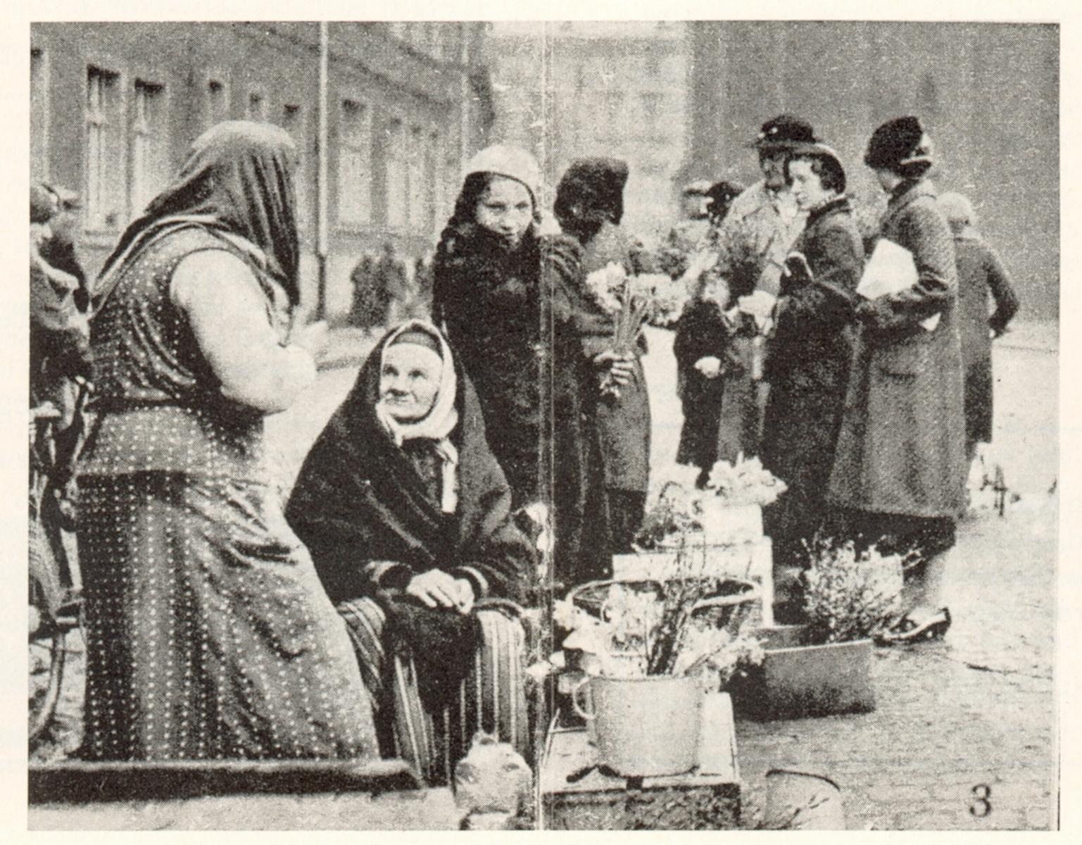 Zdjęcie w galerii na portalu naszraciborz.pl: 130 lat Placu Zielonego. Tu zaczęła się historia raciborskiego warzywnictwa wiadomości z regionu