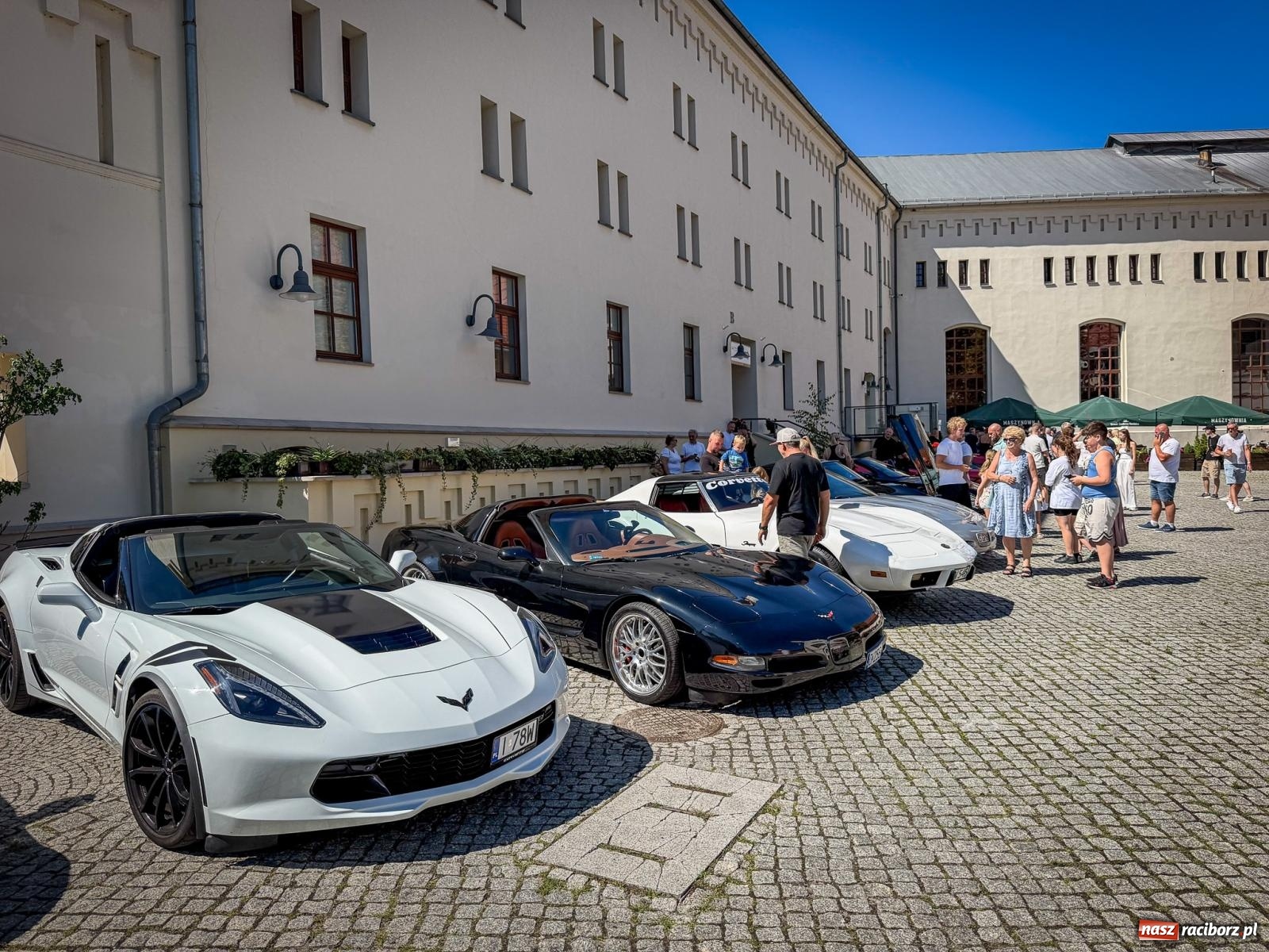 Zdjęcie w galerii na portalu naszraciborz.pl: Corvette od C1 do C8 na Zamku Piastowskim. Amerykańskie legendy motoryzacji przyjechały do Raciborza wiadomości z regionu