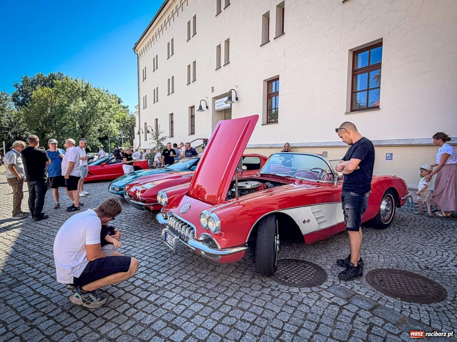 Zdjęcie w galerii na portalu naszraciborz.pl: Corvette od C1 do C8 na Zamku Piastowskim. Amerykańskie legendy motoryzacji przyjechały do Raciborza wiadomości z regionu
