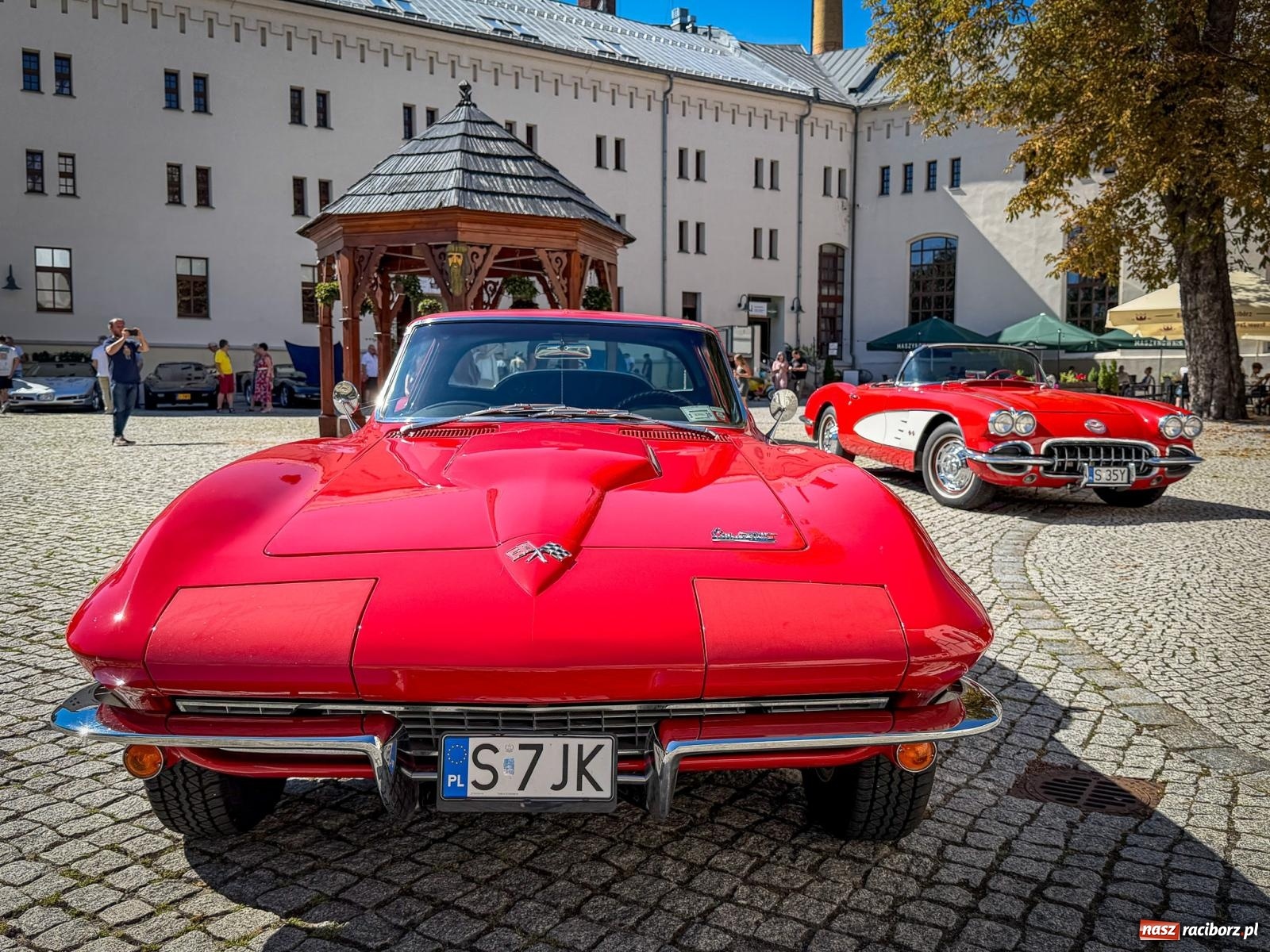 Zdjęcie w galerii na portalu naszraciborz.pl: Corvette od C1 do C8 na Zamku Piastowskim. Amerykańskie legendy motoryzacji przyjechały do Raciborza wiadomości z regionu