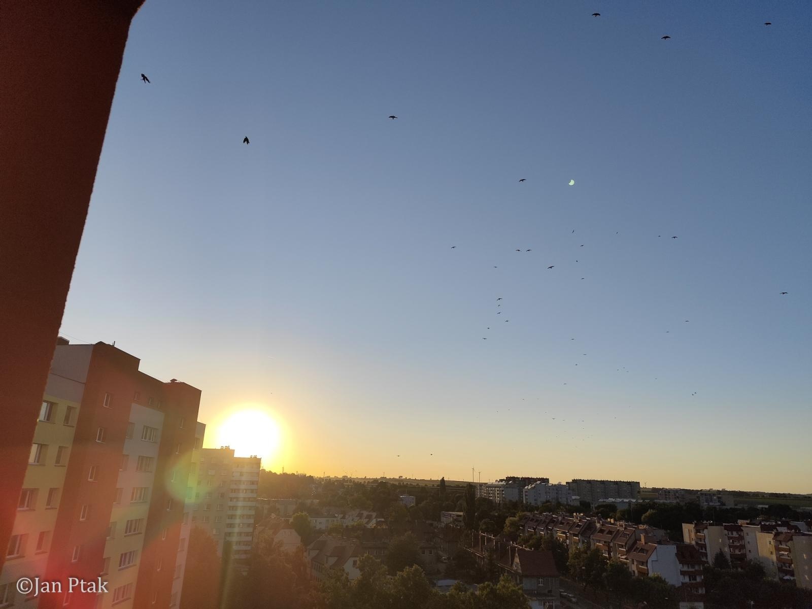 Zdjęcie w galerii na portalu naszraciborz.pl: Zaćmienie Słońca nad Raciborzem. Niecodzienny spektakl na niebie [FOTO i WIDEO] wiadomości z regionu
