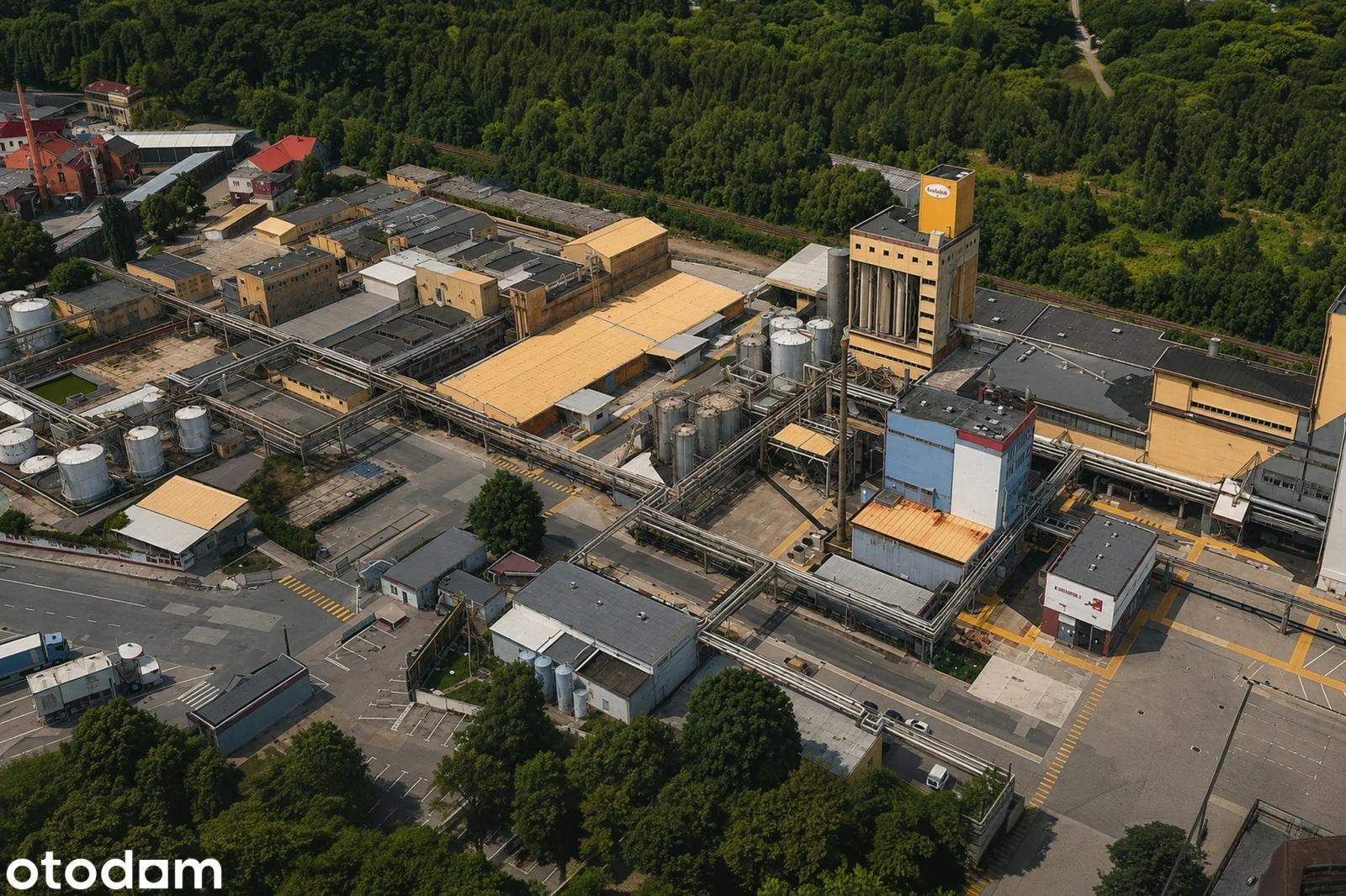Zdjęcie w galerii na portalu naszraciborz.pl: Część dawnej Polleny i Henkla czeka na inwestora. Cena nieruchomości mocno w dół wiadomości z regionu