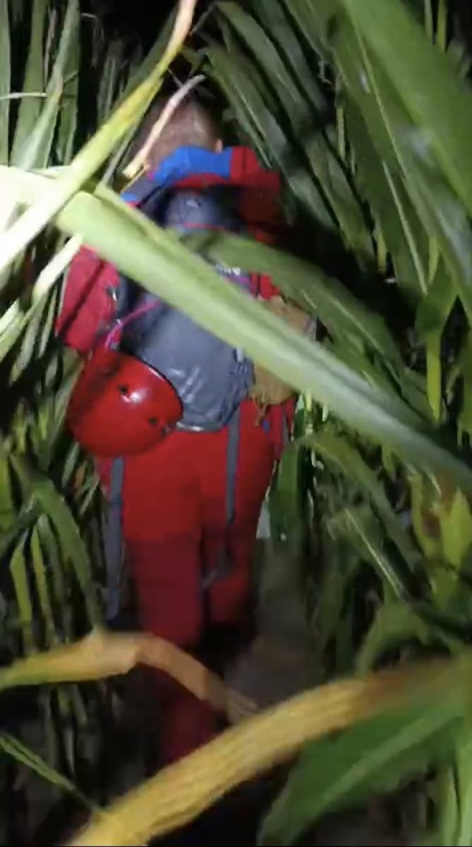 Zdjęcie w galerii na portalu naszraciborz.pl: 11-latka z Krzanowic odnaleziona podczas nocnych poszukiwań. W akcji 47 strażaków i Koordynata wiadomości z regionu