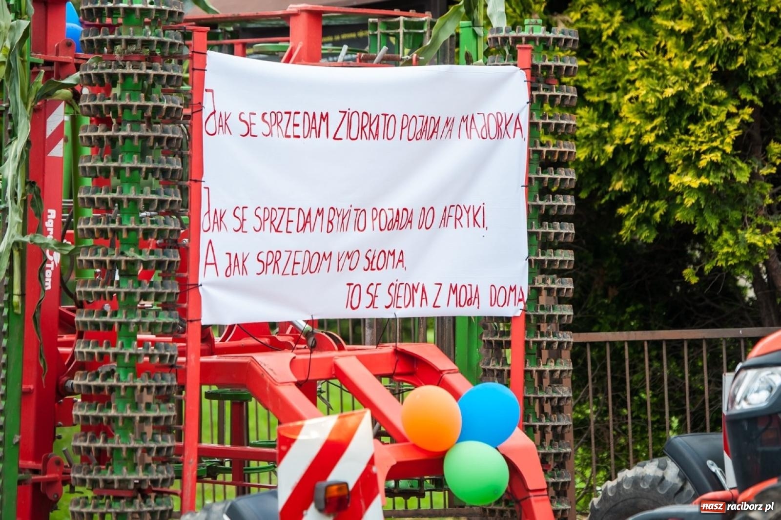 Zdjęcie w galerii na portalu naszraciborz.pl: Gmina Rudnik świętuje. Dożynki w Grzegorzowicach na bis! [FOTO i WIDEO] wiadomości z regionu