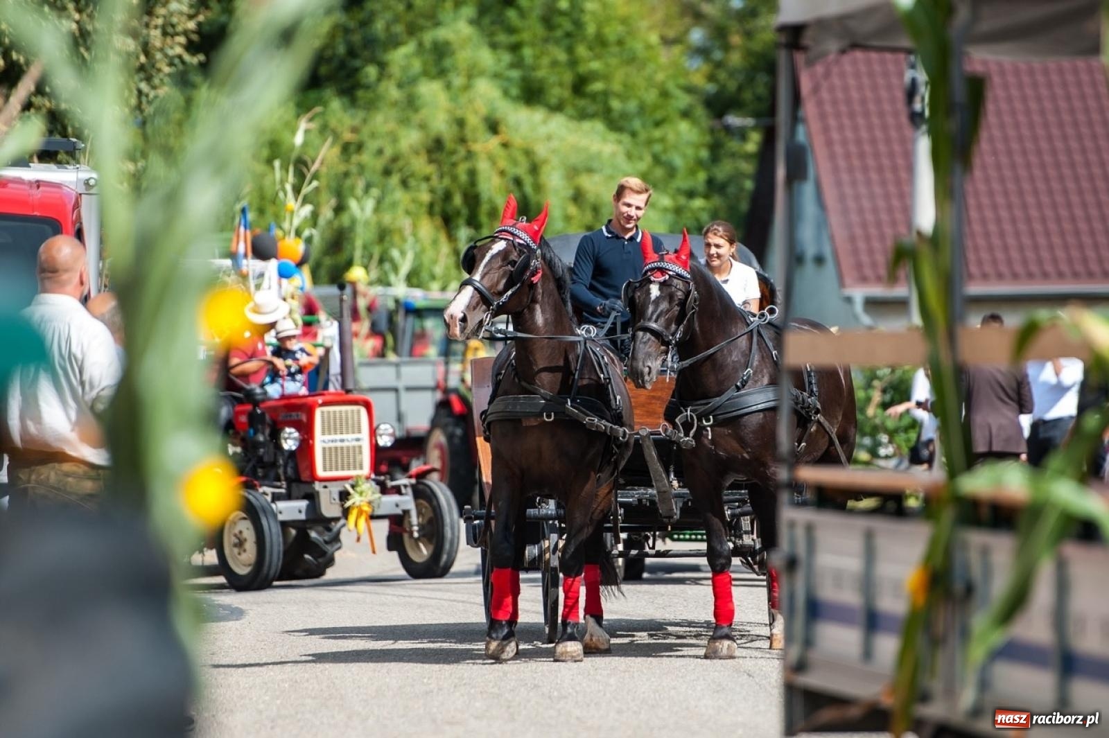 Zdjęcie w galerii na portalu naszraciborz.pl: Gmina Rudnik świętuje. Dożynki w Grzegorzowicach na bis! [FOTO i WIDEO] wiadomości z regionu