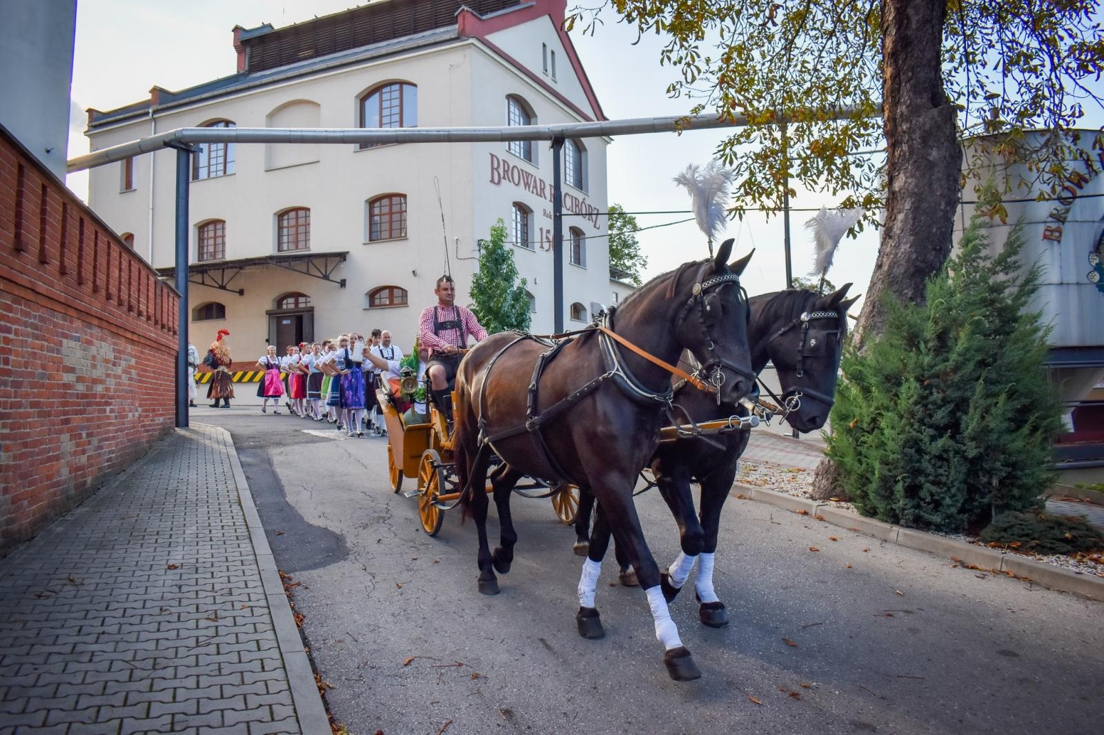 Zdjęcie w galerii na portalu naszraciborz.pl: Dożynki chmielne na raciborskim zamku wiadomości z regionu