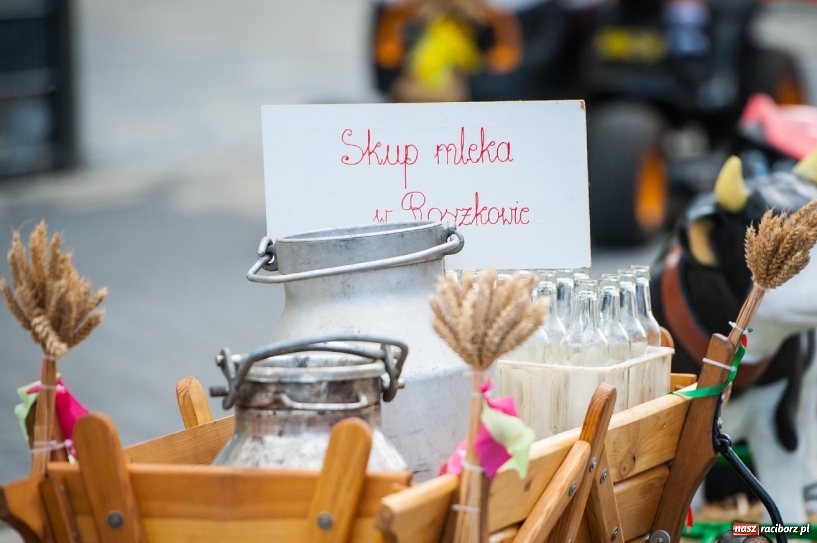 Zdjęcie w galerii na portalu naszraciborz.pl: Barwny korowód w Roszkowie za nami! Święto plonów w pełni rozkwitu [FOTO i WIDEO] wiadomości z regionu