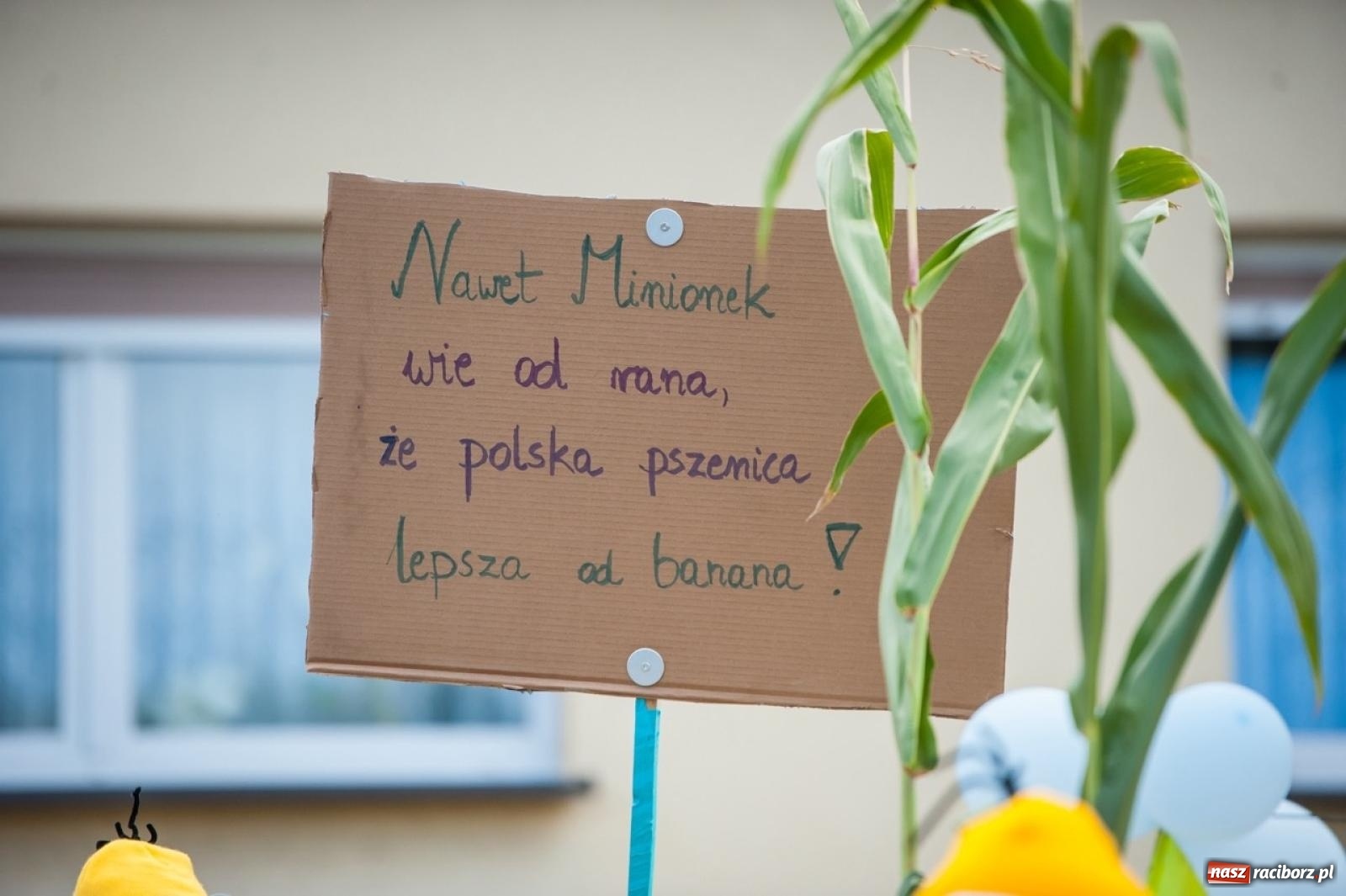 Zdjęcie w galerii na portalu naszraciborz.pl: Barwny korowód w Roszkowie za nami! Święto plonów w pełni rozkwitu [FOTO i WIDEO] wiadomości z regionu