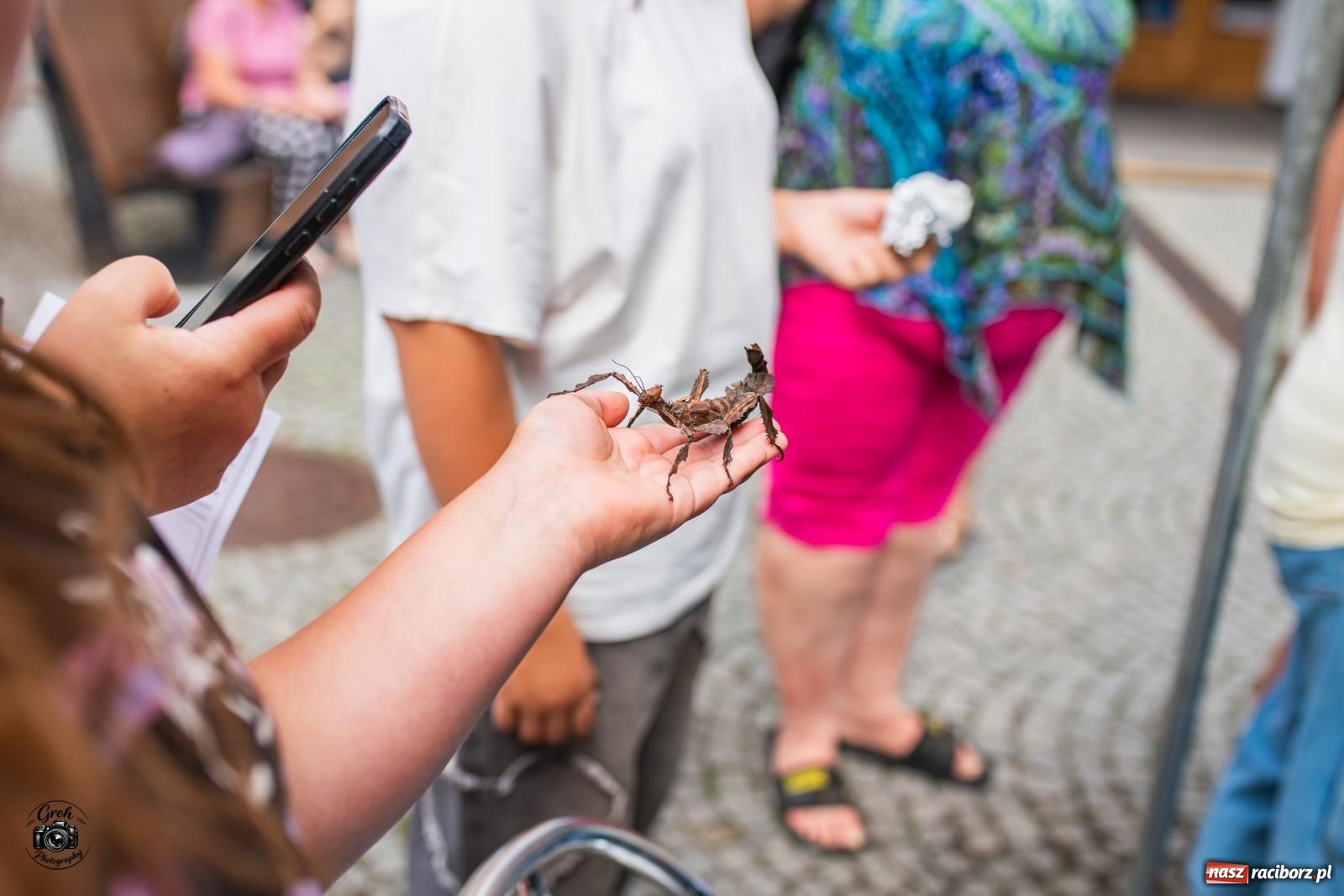 Zdjęcie w galerii na portalu naszraciborz.pl: Racibórz zamienił się w wielkie laboratorium. V Festiwal Odkrywców przyciągnął całe rodziny [FOTO i WIDEO] wiadomości z regionu