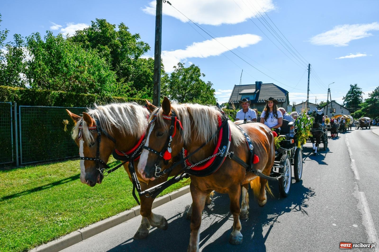Zdjęcie w galerii na portalu naszraciborz.pl: Dożynkowy korowód ruszył z Pogrzebienia. Święto plonów trwa w Kornowacu [FOTO i WIDEO] wiadomości z regionu