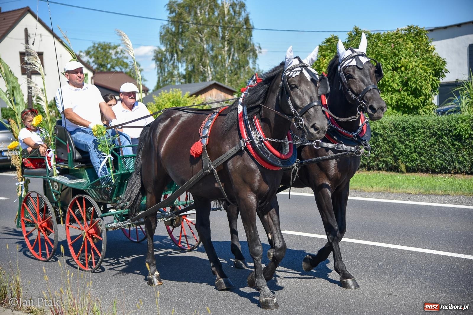 Zdjęcie w galerii na portalu naszraciborz.pl: Korowód dożynkowy przejechał przez Sudół. Rolnicza dzielnica Raciborza dziękuje za plony [FOTO i WIDEO] wiadomości z regionu