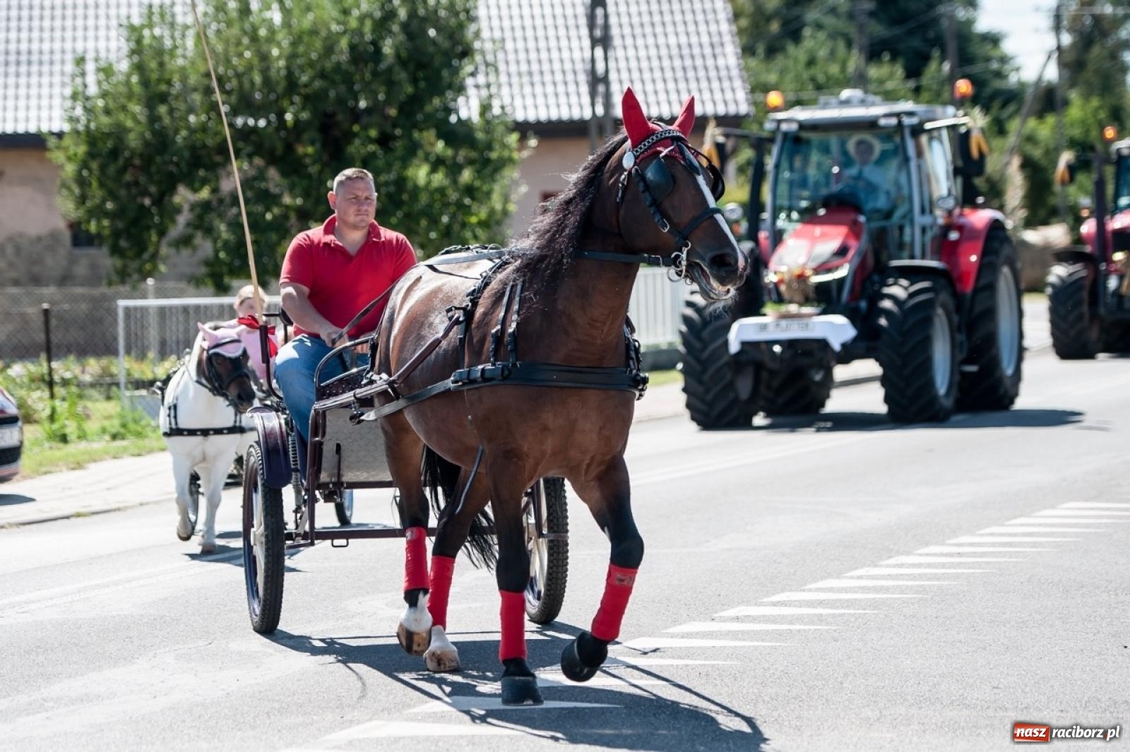 Zdjęcie w galerii na portalu naszraciborz.pl: Dożynki w Modzurowie. Korowód i zabawa pod chmurką wiadomości z regionu