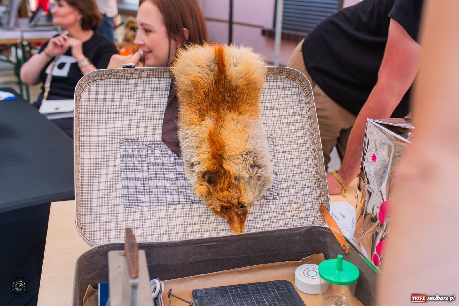 Zdjęcie w galerii na portalu naszraciborz.pl: Muzeum może uczyć i bawić. Wyjątkowy festiwal w centrum Raciborza [FOTO i WIDEO] wiadomości z regionu