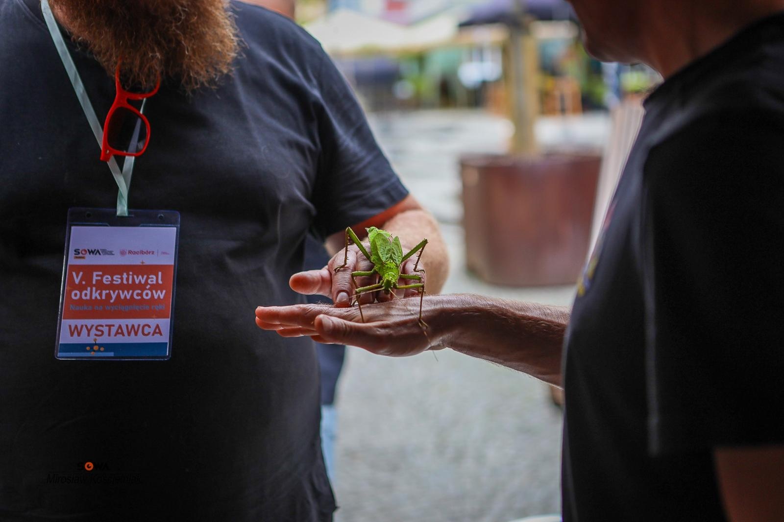 Zdjęcie w galerii na portalu naszraciborz.pl: Racibórz pełen nauki i muzealnych odkryć. Dwa festiwale za nami wiadomości z regionu