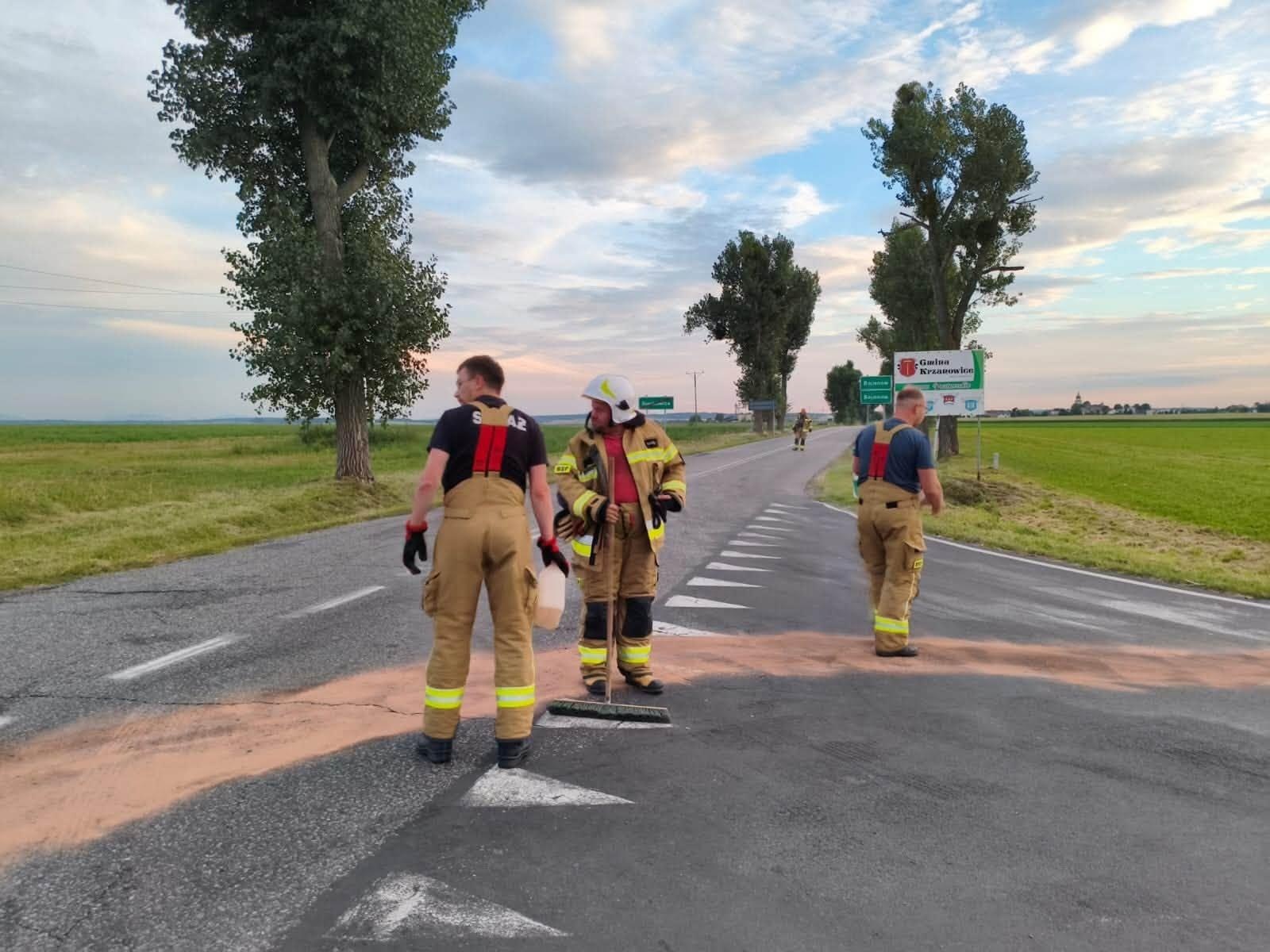 Zdjęcie w galerii na portalu naszraciborz.pl: Strażacy interweniowali w powiecie. Plama oleju, kolizja i pożar stogu wiadomości z regionu