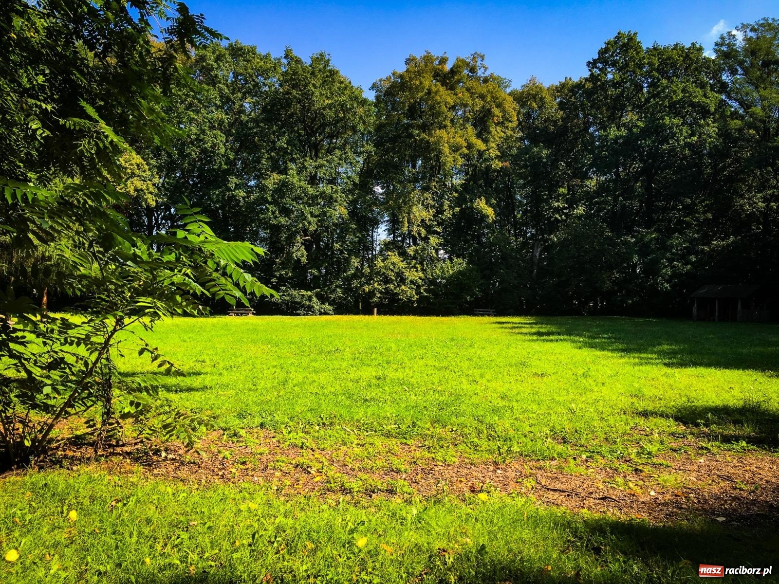Zdjęcie w galerii na portalu naszraciborz.pl: Czy kwiaty i motyle wzbogacą Arboretum Bramy Morawskiej? Zdecydują mieszkańcy wiadomości z regionu
