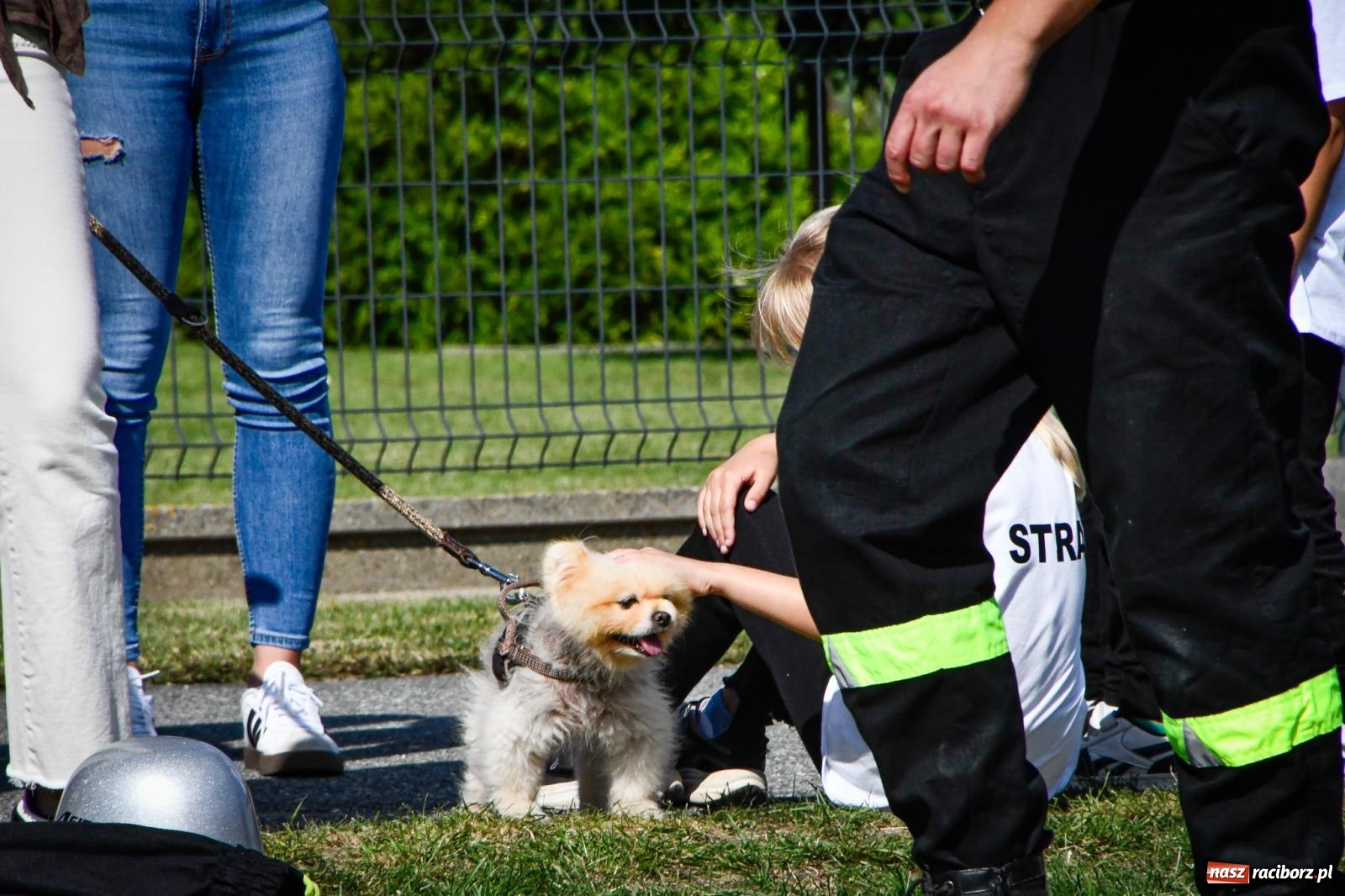 Zdjęcie w galerii na portalu naszraciborz.pl: Gospodarze, Gamów i Rudnik triumfują w gminnych zawodach sportowo-pożarniczych w Sławikowie [FOTO i WIDEO] wiadomości z regionu