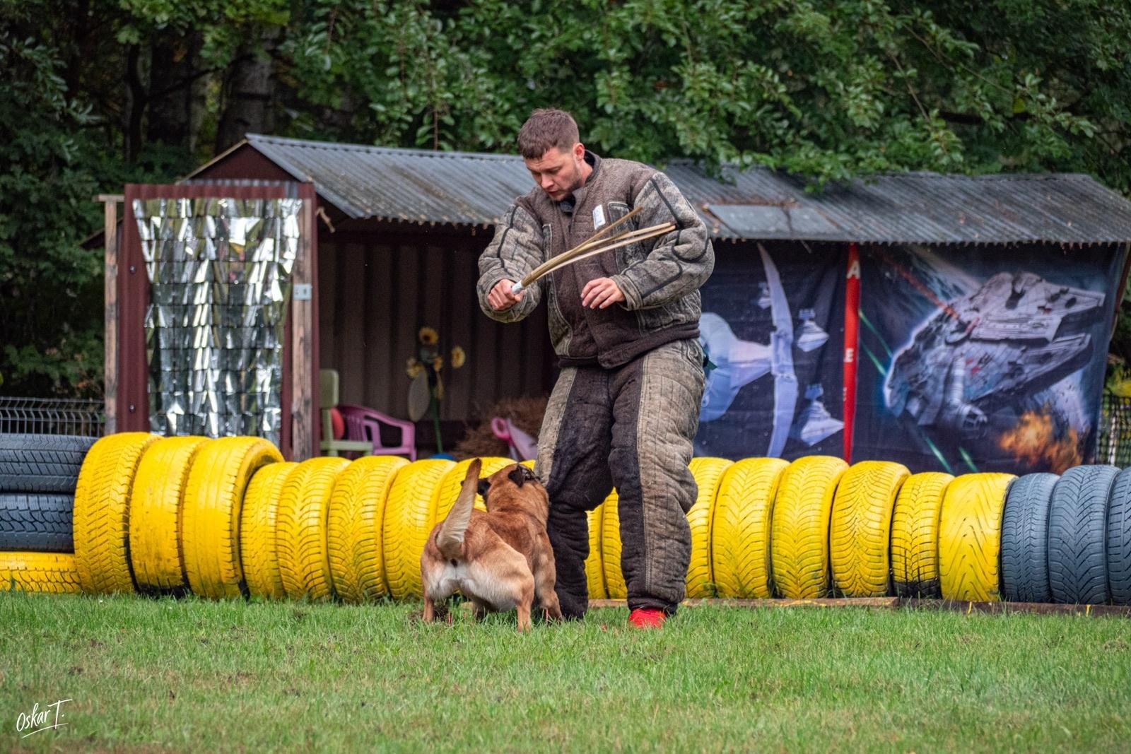 Zdjęcie w galerii na portalu naszraciborz.pl: Międzynarodowe emocje i psy wysokiej klasy. Pierwszy dzień zawodów Mondioringu w Babicach za nami [FOTO] wiadomości z regionu
