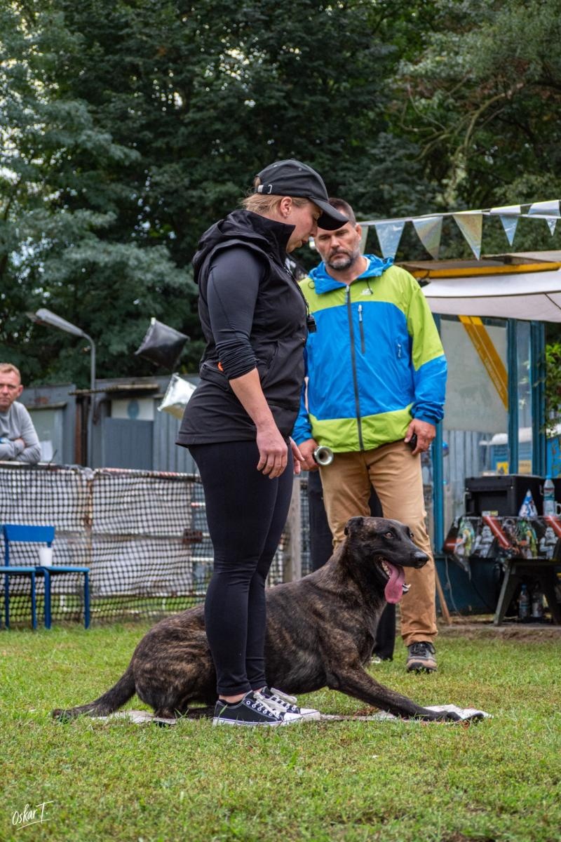 Zdjęcie w galerii na portalu naszraciborz.pl: Międzynarodowe emocje i psy wysokiej klasy. Pierwszy dzień zawodów Mondioringu w Babicach za nami [FOTO] wiadomości z regionu