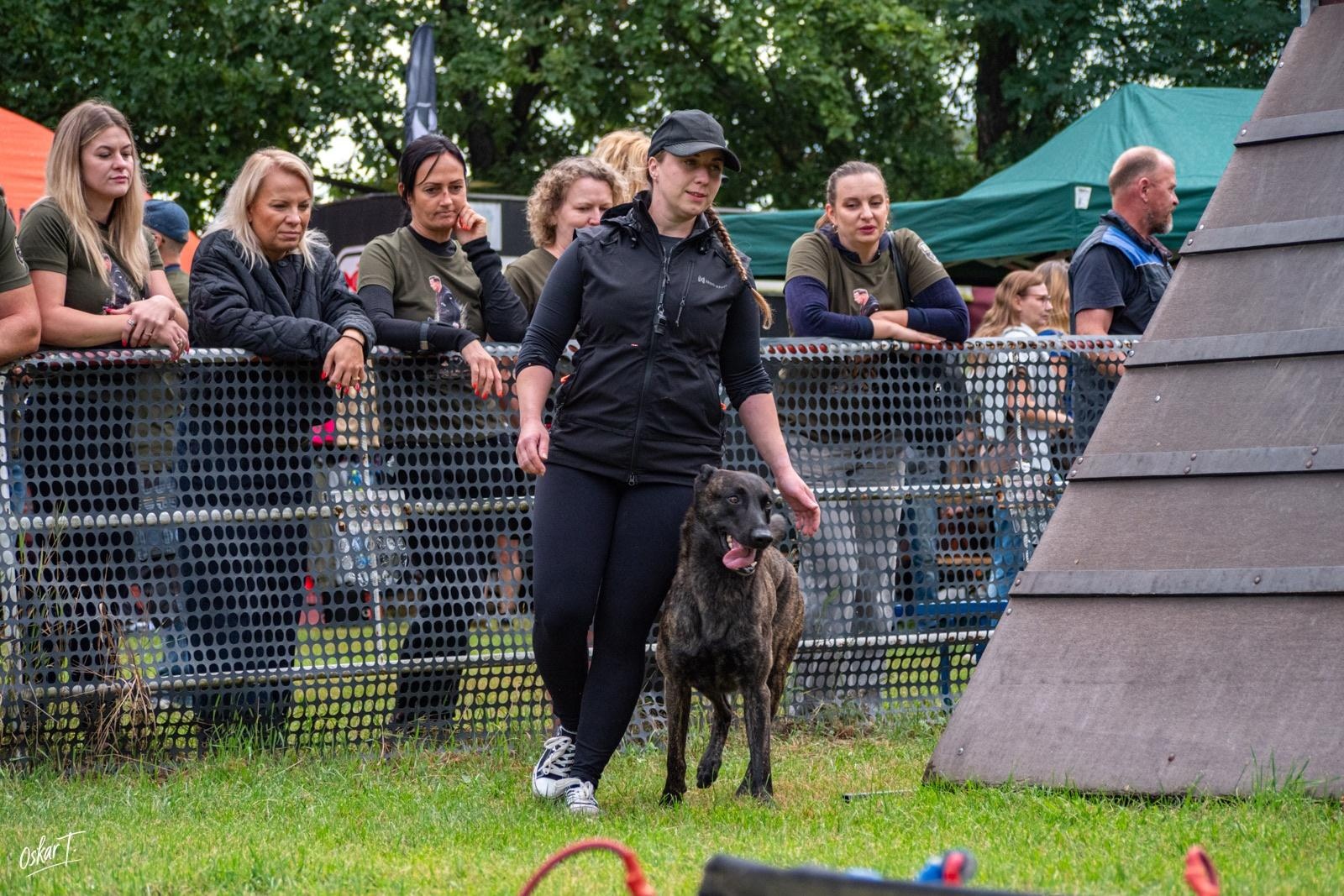 Zdjęcie w galerii na portalu naszraciborz.pl: Międzynarodowe emocje i psy wysokiej klasy. Pierwszy dzień zawodów Mondioringu w Babicach za nami [FOTO] wiadomości z regionu