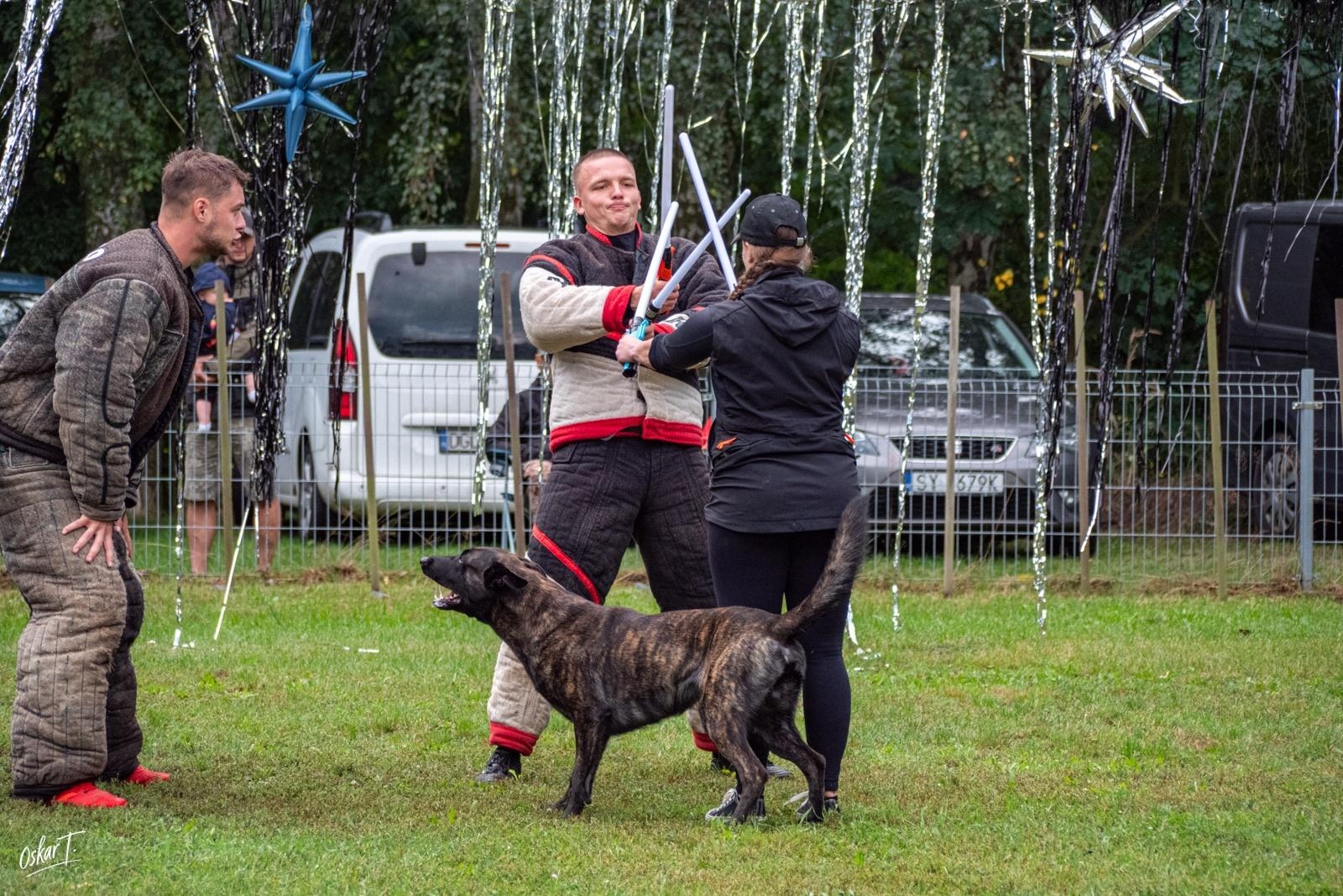 Zdjęcie w galerii na portalu naszraciborz.pl: Międzynarodowe emocje i psy wysokiej klasy. Pierwszy dzień zawodów Mondioringu w Babicach za nami [FOTO] wiadomości z regionu