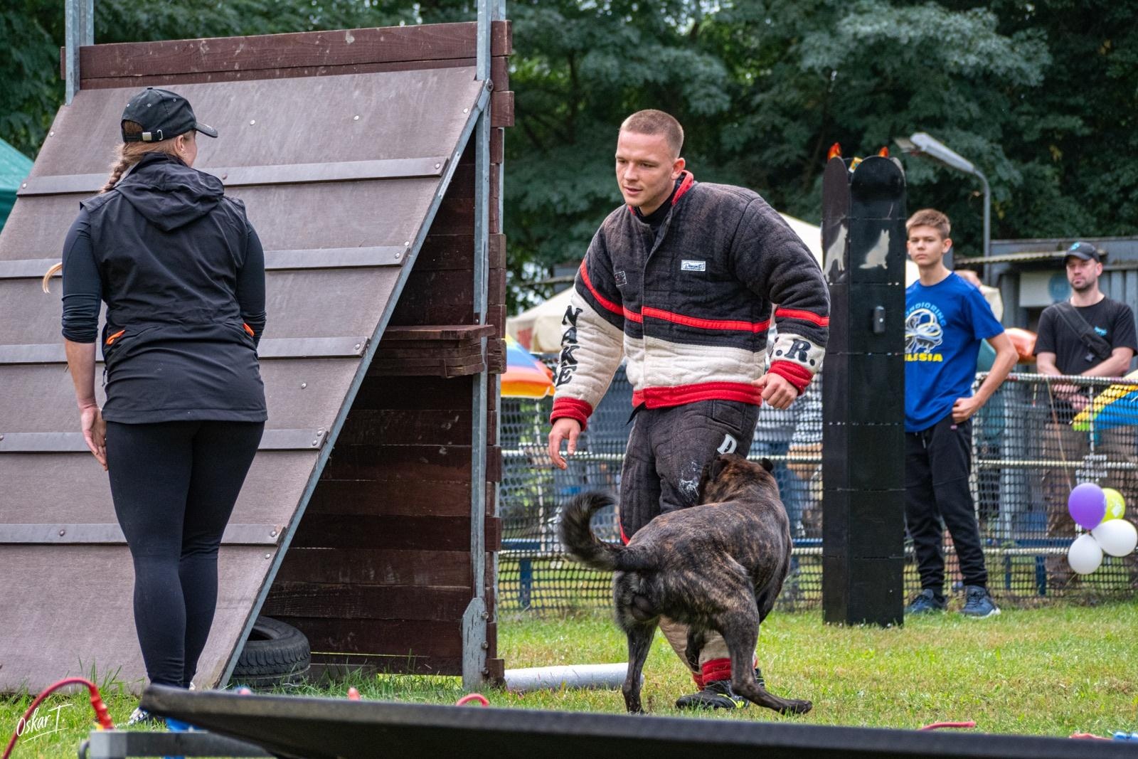 Zdjęcie w galerii na portalu naszraciborz.pl: Międzynarodowe emocje i psy wysokiej klasy. Pierwszy dzień zawodów Mondioringu w Babicach za nami [FOTO] wiadomości z regionu