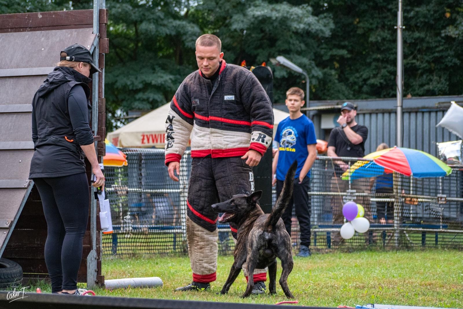 Zdjęcie w galerii na portalu naszraciborz.pl: Międzynarodowe emocje i psy wysokiej klasy. Pierwszy dzień zawodów Mondioringu w Babicach za nami [FOTO] wiadomości z regionu