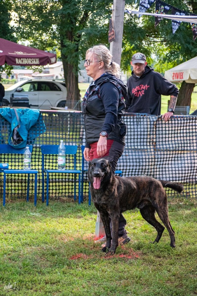 Zdjęcie w galerii na portalu naszraciborz.pl: Międzynarodowe emocje i psy wysokiej klasy. Pierwszy dzień zawodów Mondioringu w Babicach za nami [FOTO] wiadomości z regionu