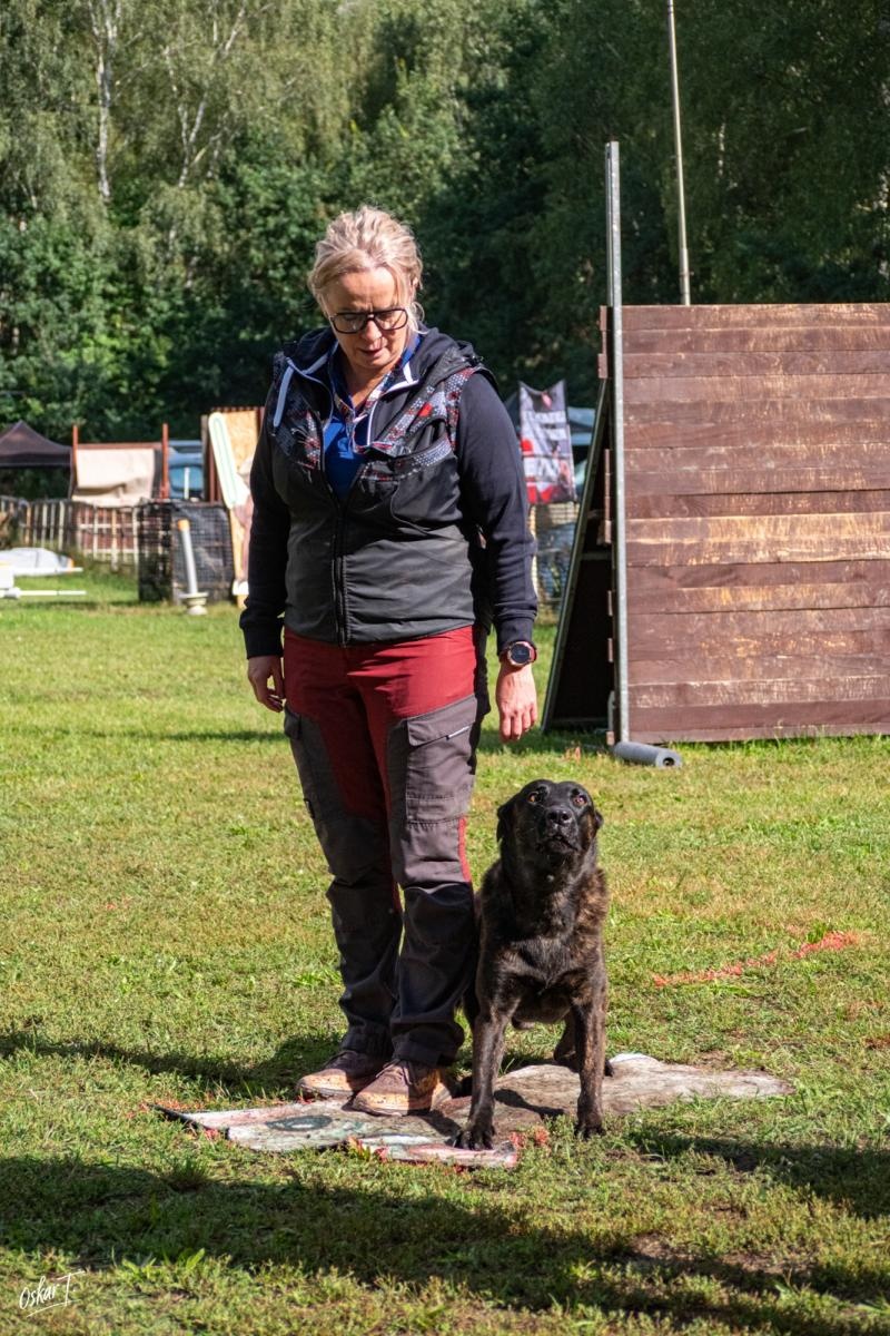 Zdjęcie w galerii na portalu naszraciborz.pl: Międzynarodowe emocje i psy wysokiej klasy. Pierwszy dzień zawodów Mondioringu w Babicach za nami [FOTO] wiadomości z regionu